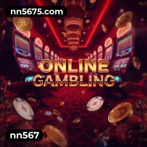 nn567
