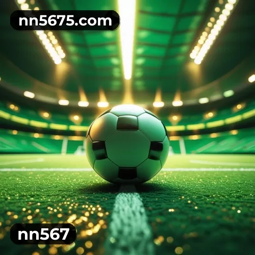 nn567